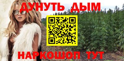 сатива Нальчик