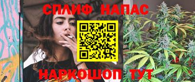 сатива Нальчик