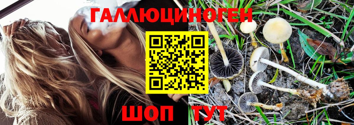 Галлюциногенные грибы Magic Shrooms Усинск
